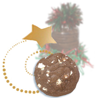 closeup of chocolate cookie with white chocolate chunks.