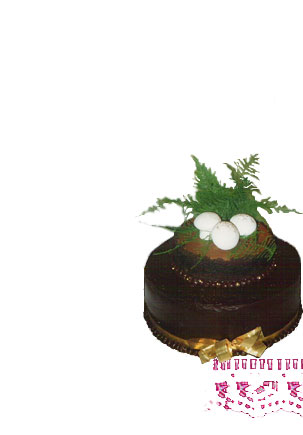Photograph of the chocolate groom's cake garnished with meringue mushrooms.